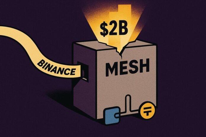 Binance Mesh investment